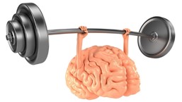 exercise the brain